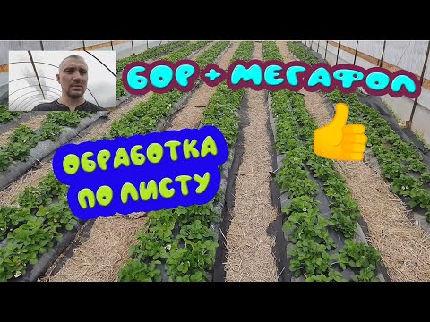 Видео: Обработка по листу бором. Были трудности!!!