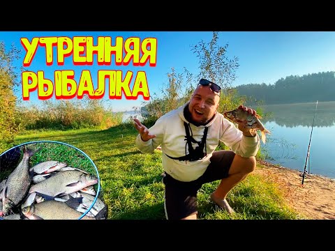 Видео: Утренняя РЫБАЛКА на ЛЕЩА / Старое ВОДОХРАНИЛИЩЕ