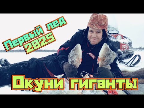 Видео: Здесь не ловили сотни лет!!!Окуни гиганты!!! Первый лед 2025!