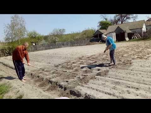 Видео: ВЛОГ ПРО ТО КАК МЫ ЕДЕМ НА ПАСКУ К БАБУШКИ В СЕЛО
