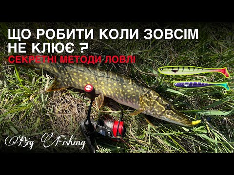 Видео: Щука на СЕКРЕТНИЙ МЕТОД !!! Ранкова Рибалка, Яку Ти Повинен Побачити !!!