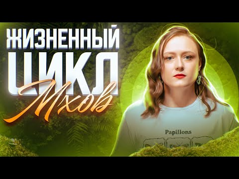 Видео: Жизненный цикл мхов | ЕГЭ-2025 по биологии