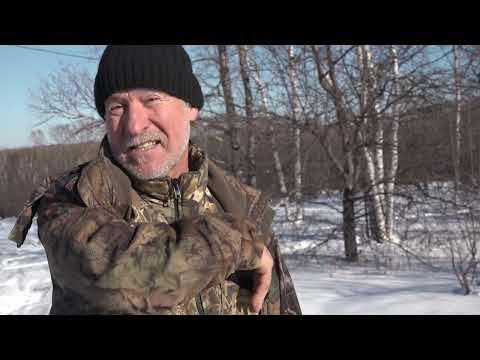 Видео: №431-Глубокий снег в ноябре. Что делать?  Пионы