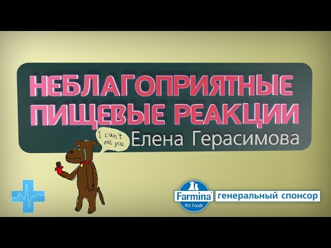 Видео: Неблагоприятные пищевые реакции