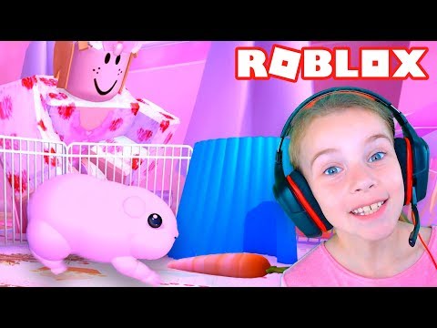Видео: СИМУЛЯТОР ХОМЯКА в ROBLOX веселое ВИДЕО ДЛЯ ДЕТЕЙ про ЖИЗНЬ МОРСКОЙ СВИНКИ