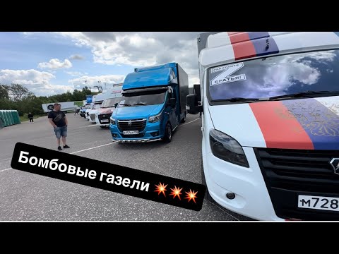 Видео: Вот они четкие газели 😍💥