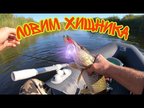 Видео: Рыбалка на хищника на река Жыланшык. Где же трофей???