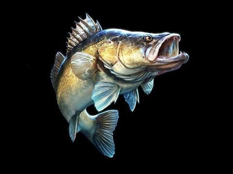 Видео: МІКРО-РІКА МІКРО-ДЖИГ