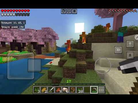 Видео: 8 ноября 2025 г.