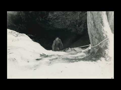 Видео: Любители 2024