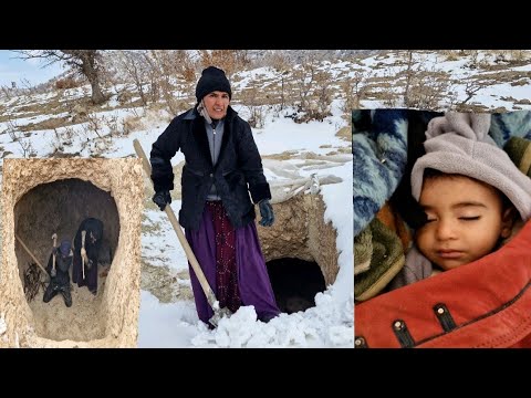 Видео: Неизменная любовь матери в разгар снежной бури