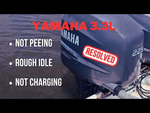 Видео: Yamaha 3.3L F225, неровный холостой ход, нет зарядки, нет писка — Marine Tech Vlog#3
