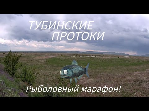 Видео: Река Туба. В поисках «СЕРЕБРЯНОЙ РЫБЫ»😁