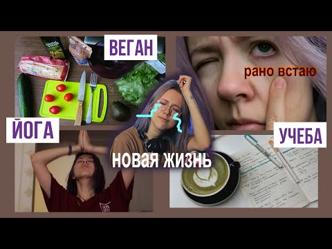 Видео: Меняю жизнь за месяц | веган, личный дневник, рано встаю, йога