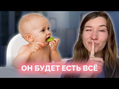 Видео: Всё о прикорме в одном месте: полный гайд когда и как вводить прикорм, чтобы не навредить