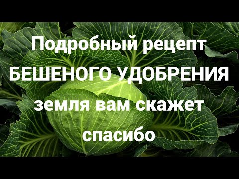 Видео: 🔥БЕШЕНОЕ удобрение для Осенней Обработки Земли🔥Фузариоз всюду