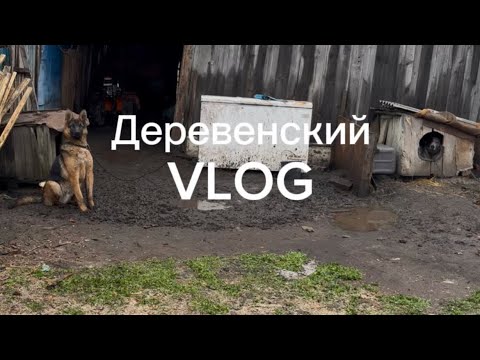 Видео: Деревенский Vlog/ день рождения бабушки мужа