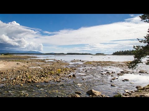 Видео: Терский берег ромбач