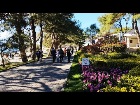 Видео: Геленджик. Прогулка по набережной в марте