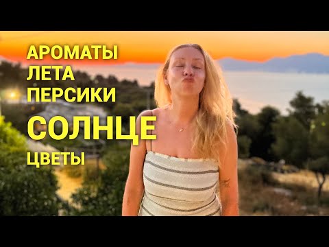 Видео: Ароматы Лета! Солнце, персики и жёлтые цветы❤️