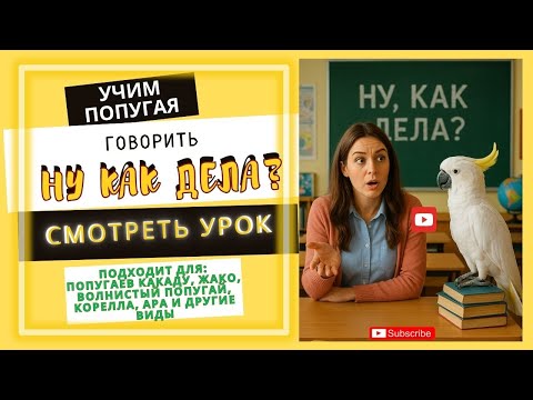 Видео: Как научить попугая говорить "Ну как дела?" | Урок для попугая