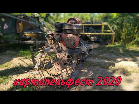 Видео: Як викопати картоплю мотоблоком Вейма 900-3