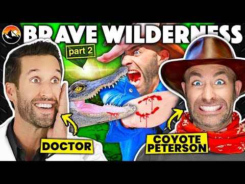 Видео: ВРАЧ и COYOTE PETERSON смотрят самые СМЕРТОНОСНЫЕ укусв из Brave Wilderness