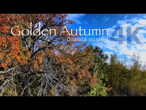 Видео: Осінній політ над золотими деревами 🍂 | Autumn Drone Flight in 4K