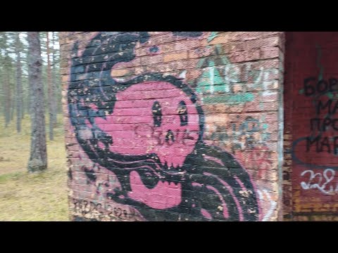 Видео: Поехавший. 3-я серия. Ищу заброшенный лагерь имени Олега Кошевого