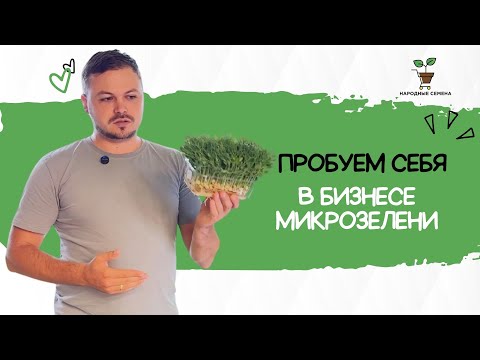 Видео: Как попробовать себя в бизнесе микрозелени?