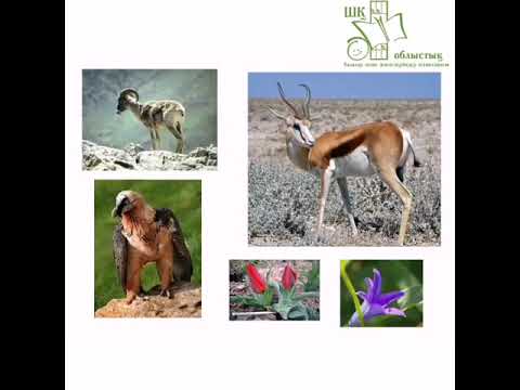 Видео: Қазақстан қорықтары