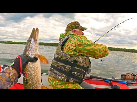 Видео: Поймал на Спиннинг щуку! БАТЯ ТАЩИТ ЕЩЁ!! СМОТРИ КАКОЙ ОСЕННИЙ ЖОР! Это рыбалка 2023!