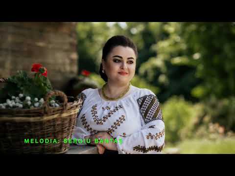 Видео: ПМР Село Спея (вид птичьего полёта)