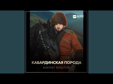 Видео: Кабардинская порода