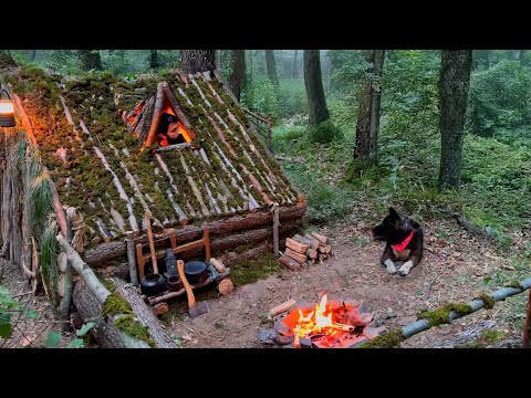 Видео: 3 дня ОДИНОЧНЫЙ КЕМПИНГ ДЛЯ ВЫЖИВАНИЯ; Строительство теплого КУХОННОГО УГОРЯ.  ДОМ НА ДЕРЕВЕ
