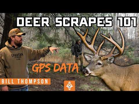 Видео: Оленьи царапины: 4 типа, которые должен знать каждый охотник