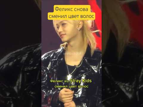 Видео: Феликс сменил цвет волос #straykids #felix #hyunjin #han #in #leeknow #seungmin #bangchan