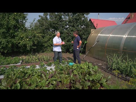 Видео: Вести.Интервью: Владислав Кундасёв, агроном