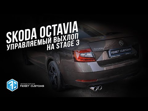 Видео: Управляемый выхлоп Skoda Octavia