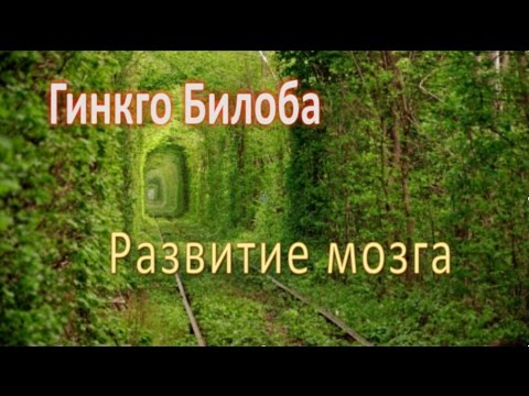 Видео: Гинкго Билоба, Развитие мозга!