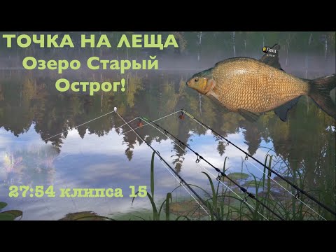 Видео: Лещ на Остроге Еще жив! ФАРМ ЛЕЩА НА ОЗЕРО СТАРЫЙ ОСТРОГ РР4