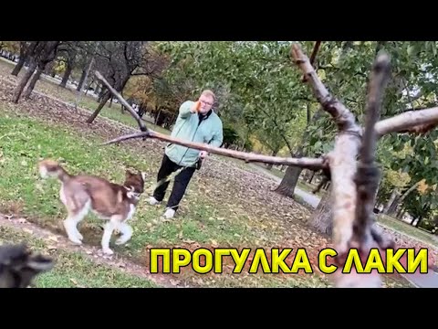 Видео: ИРЛ СТРИМ ПРОГУЛКИ С ЛАКИ