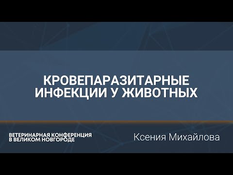 Видео: Кровепаразитарные инфекции у животных