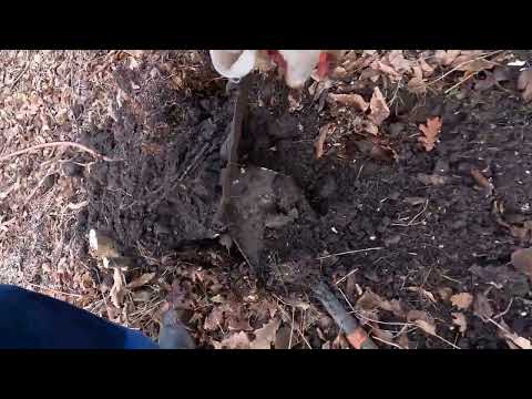 Видео: ПЕРВЫЙ КОП МЕТАЛЛА В НОВОМ ГОДУ 01.01.2025