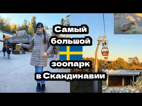 Видео: Самый большой зоопарк в Скандинавии! Влог из Швеции🇸🇪