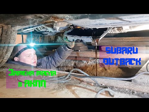 Видео: Заменил масло в АКПП | Subaru Outback
