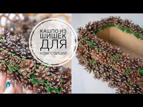 Видео: Decor with pine cones / Декор сосновыми  шишками DIY Tsvoric