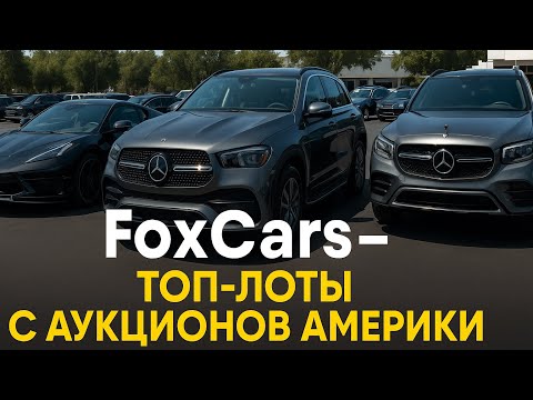 Видео: Авто из США: проверка и цены с аукционов