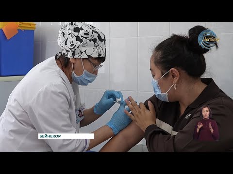 Видео: Облыста тұмауға қарсы иммундау науқаны жалғасуда