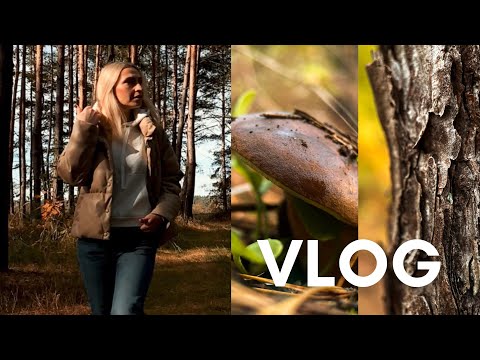 Видео: ВЛОГ. Поїздка в ліс 🙂🍂 Мої  інструменти для волосся❗️